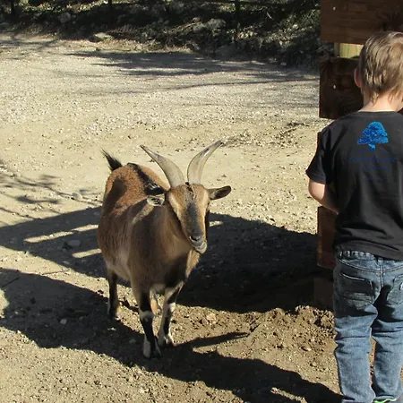 Mobilhome « Les Temps Heureux » Camping Sigean
